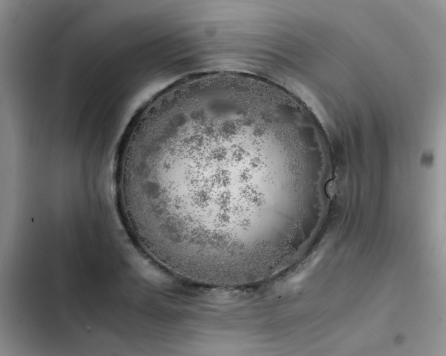 X0000102860987200808181437