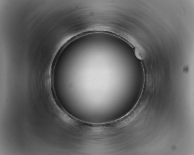 X0000102860988200808181437