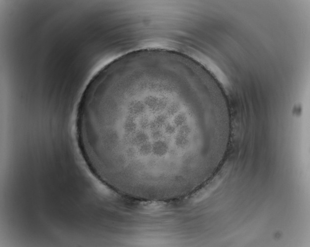 X0000102860991200808181437