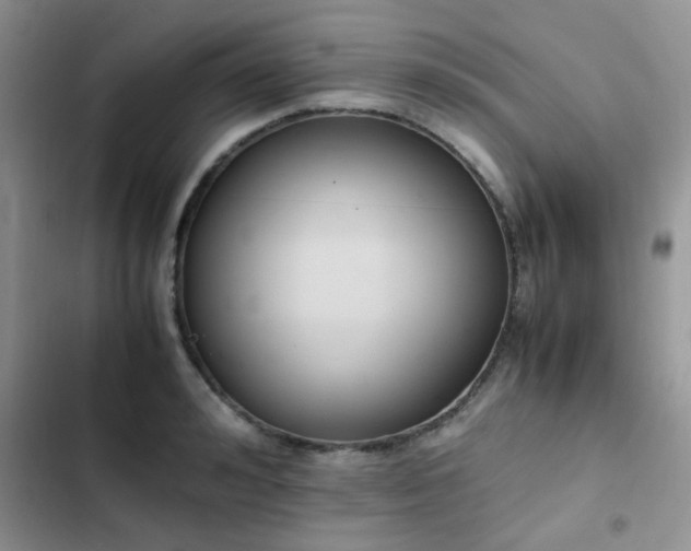 X0000102860992200808181437