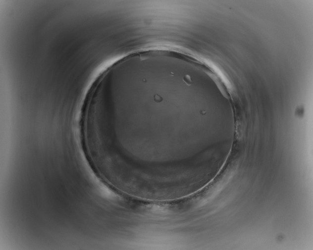 X0000102860995200808181437