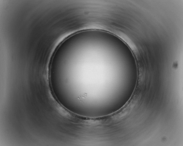 X0000102860996200808181437