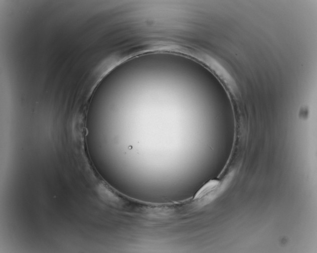 X0000102861001200808181437