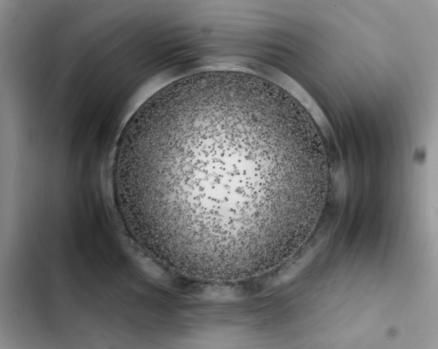 X0000102861002200808181437