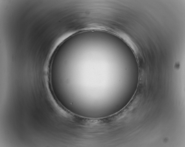 X0000102861003200808181437