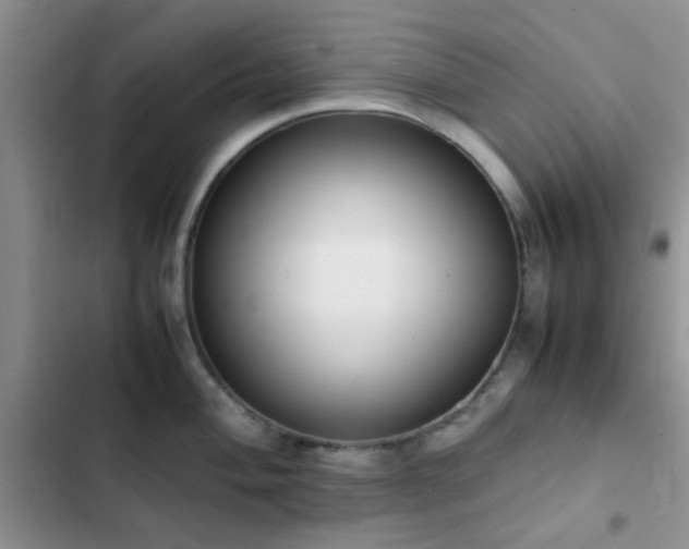 X0000102861004200808181437