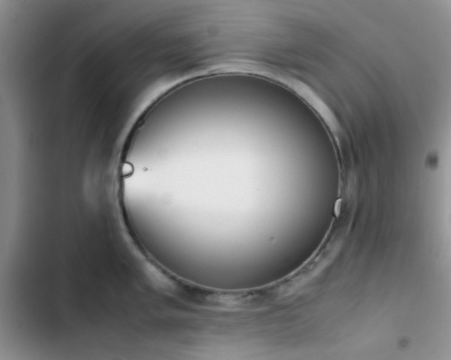 X0000102861005200808181437