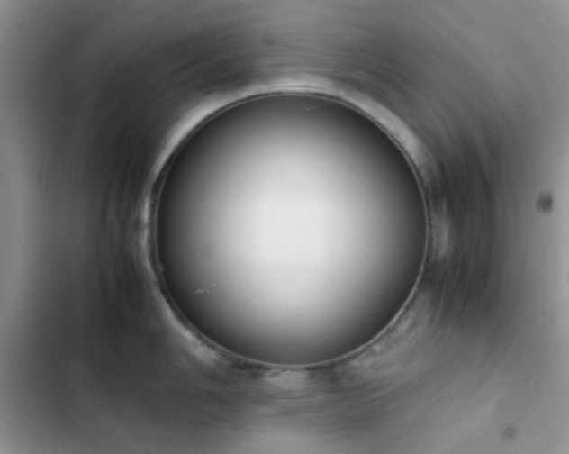 X0000102861006200808181437