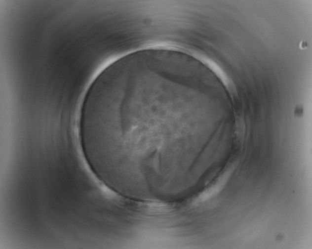 X0000102861007200808181437