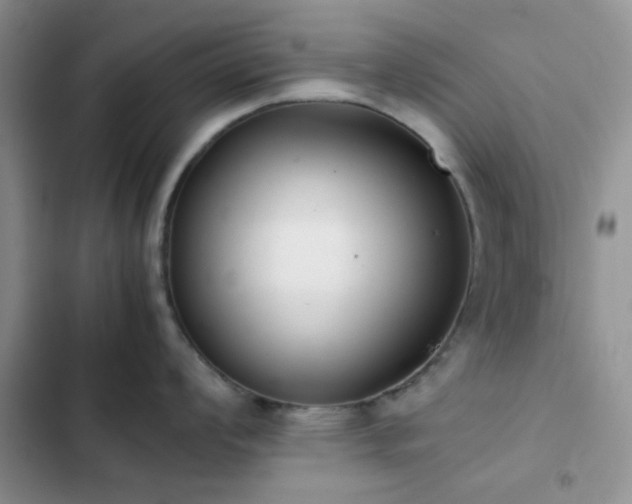 X0000102861008200808181437