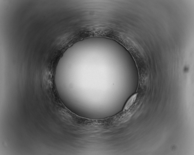 X0000102861010200808181436