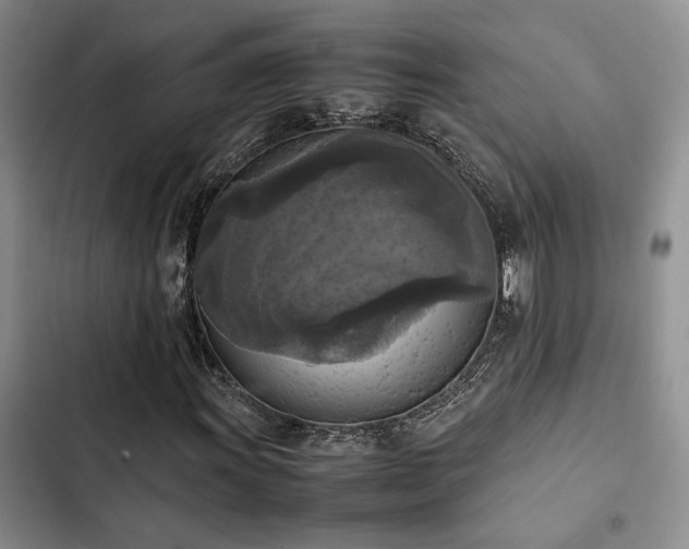 X0000102861011200808181436