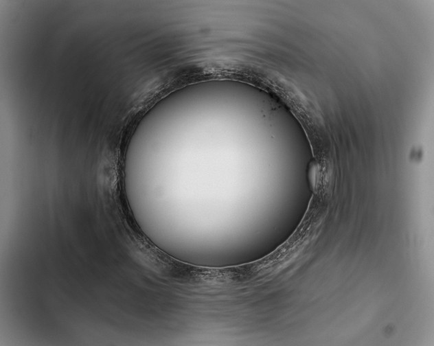 X0000102861012200808181436