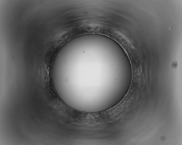 X0000102861013200808181436