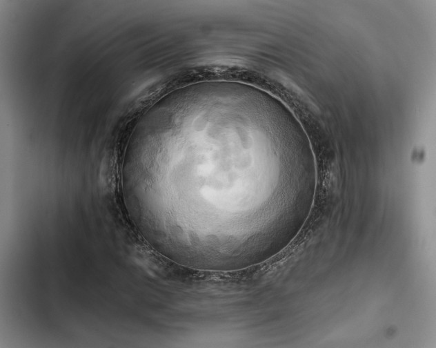 X0000102861014200808181436