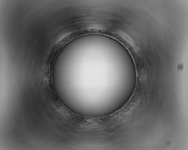 X0000102861015200808181436