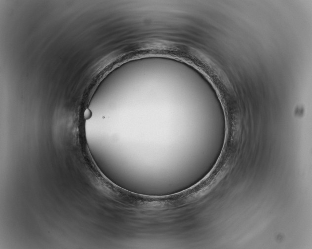 X0000102861017200808181436