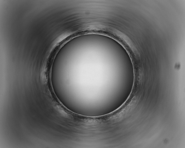 X0000102861018200808181436