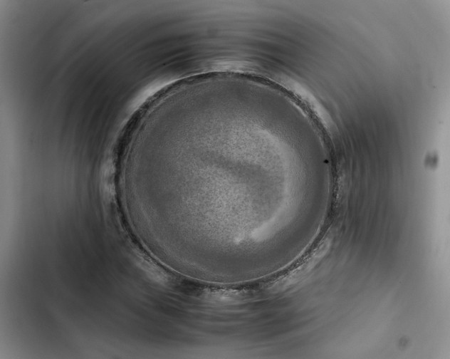 X0000102861019200808181436