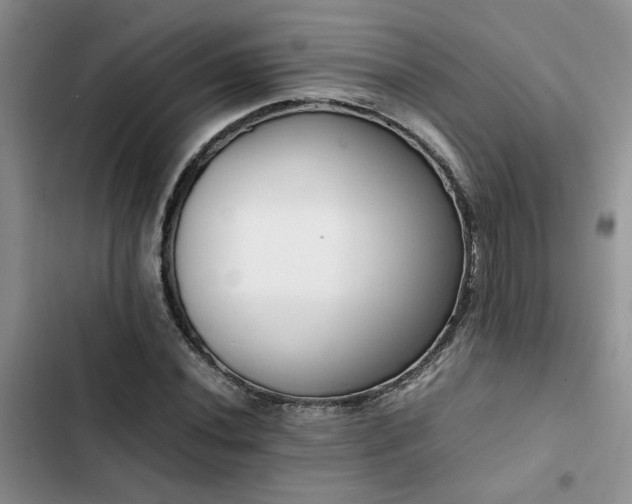 X0000102861020200808181436