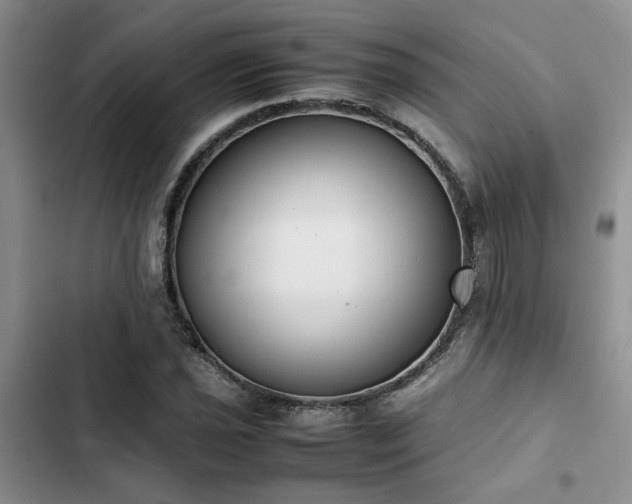 X0000102861021200808181436