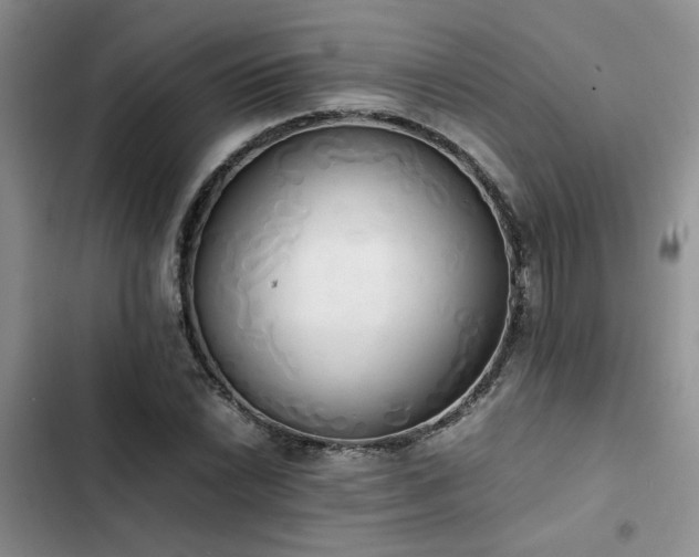 X0000102861022200808181436