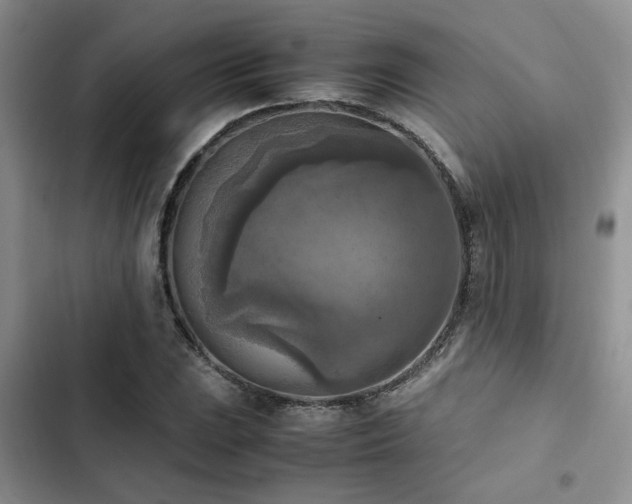 X0000102861023200808181436