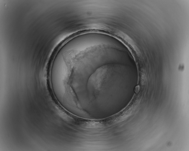 X0000102861024200808181436