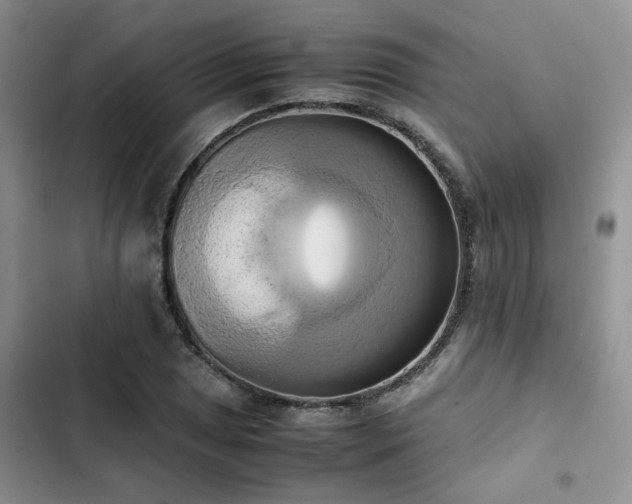 X0000102861025200808181436