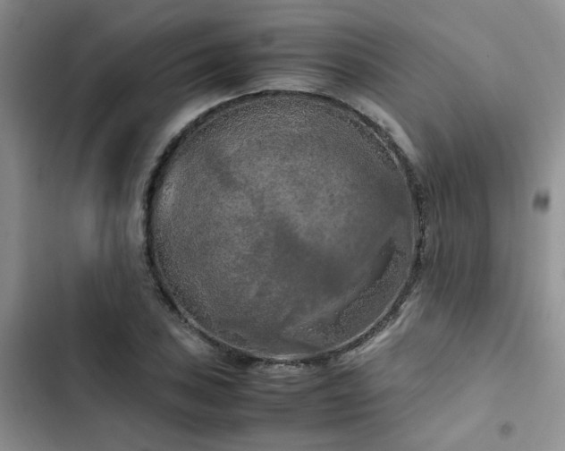 X0000102861027200808181436