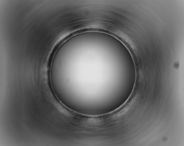 X0000102861029200808181436