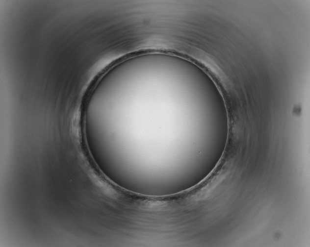 X0000102861030200808181436