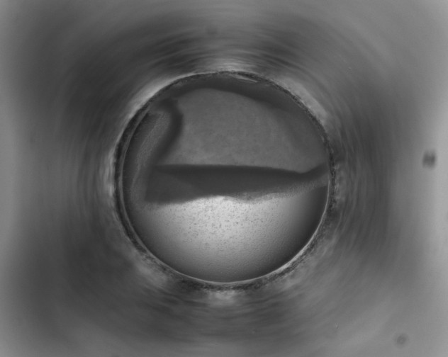 X0000102861031200808181436