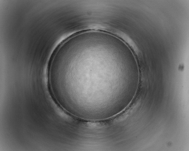 X0000102861032200808181436