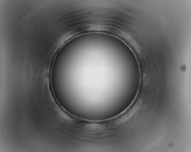 X0000102861033200808181436