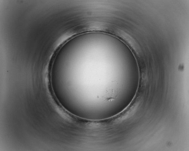 X0000102861034200808181436