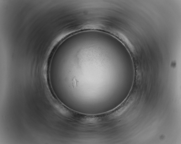 X0000102861035200808181436