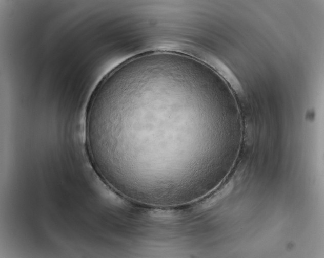 X0000102861036200808181436