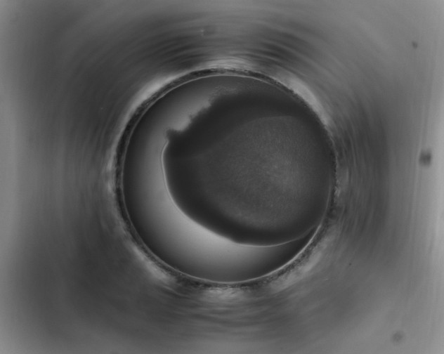 X0000102861037200808181436