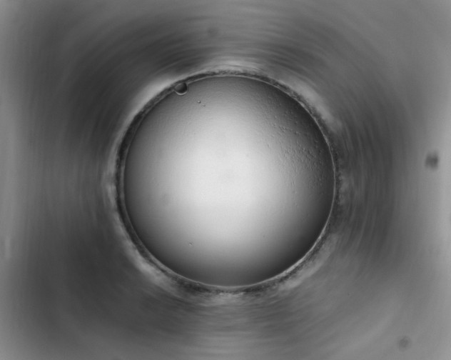 X0000102861038200808181436