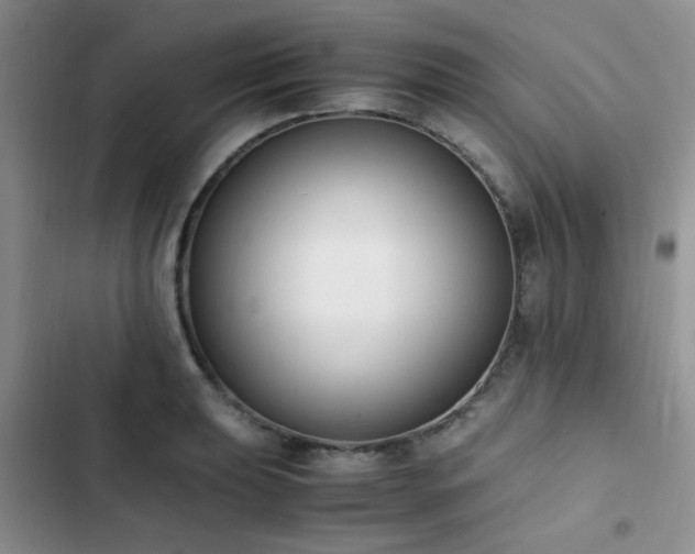 X0000102861039200808181436