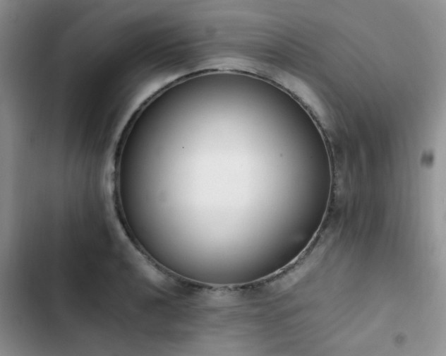 X0000102861040200808181436