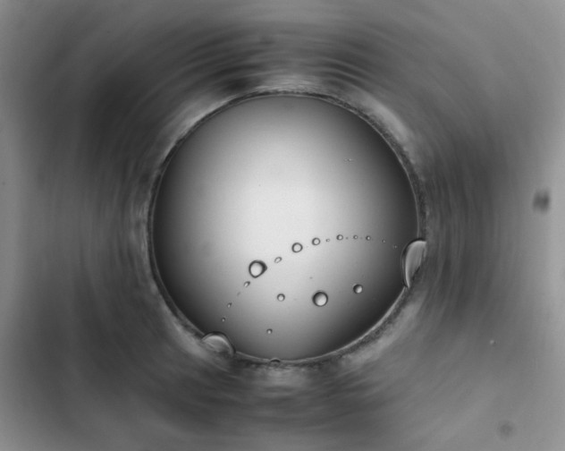 X0000102861041200808181436