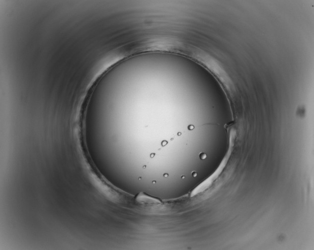 X0000102861042200808181436