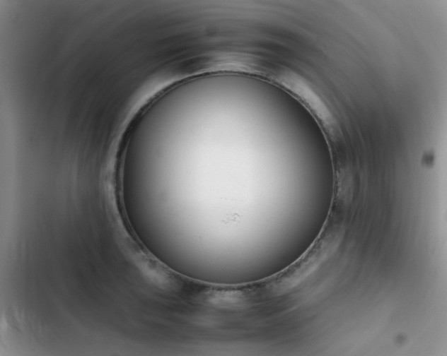 X0000102861043200808181436