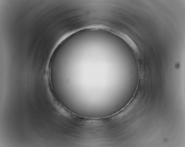 X0000102861044200808181436