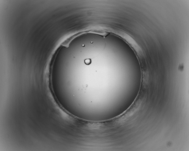 X0000102861046200808181436