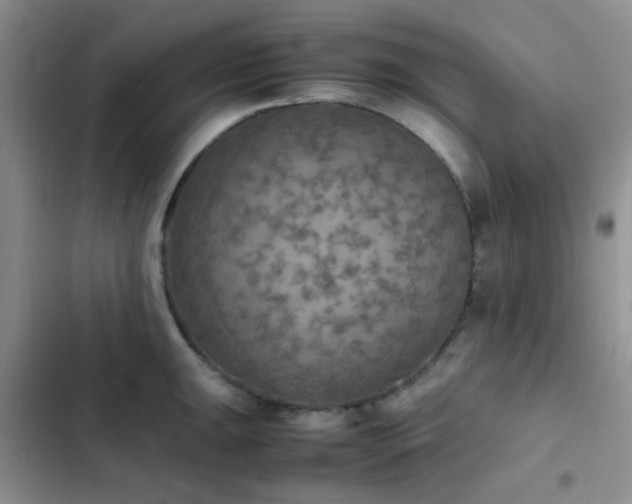 X0000102861047200808181436