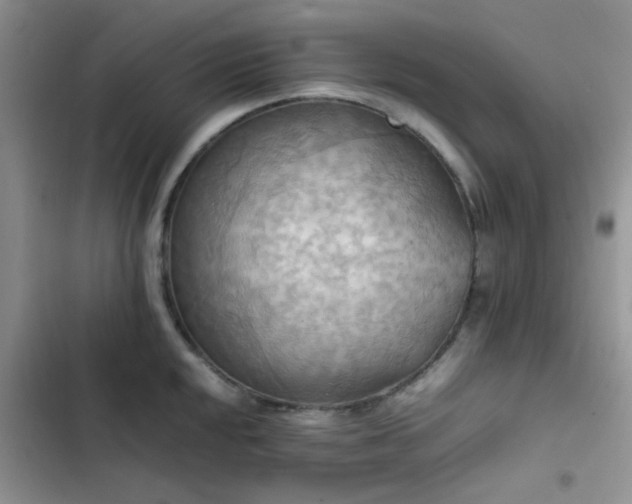 X0000102861048200808181436