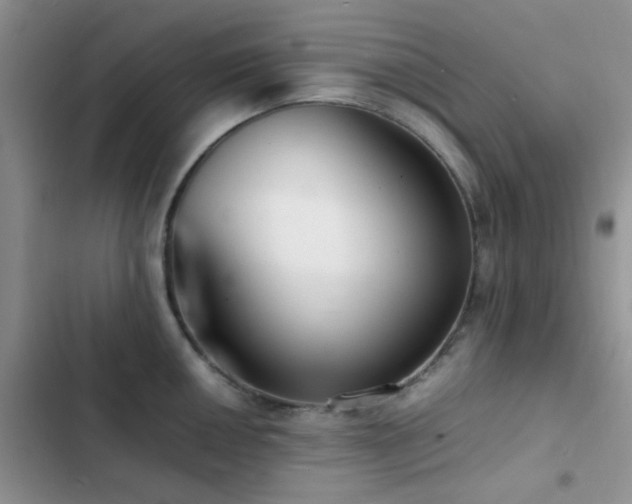 X0000102861050200808181436